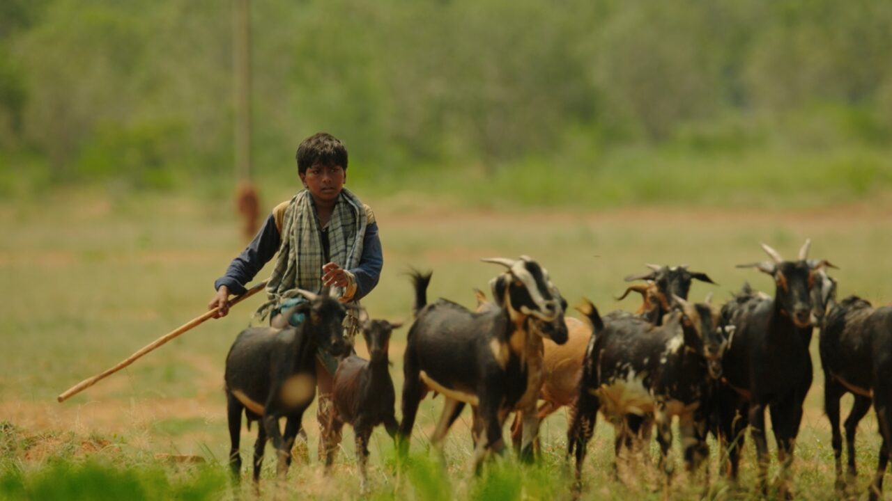Surya Film Photo 4
