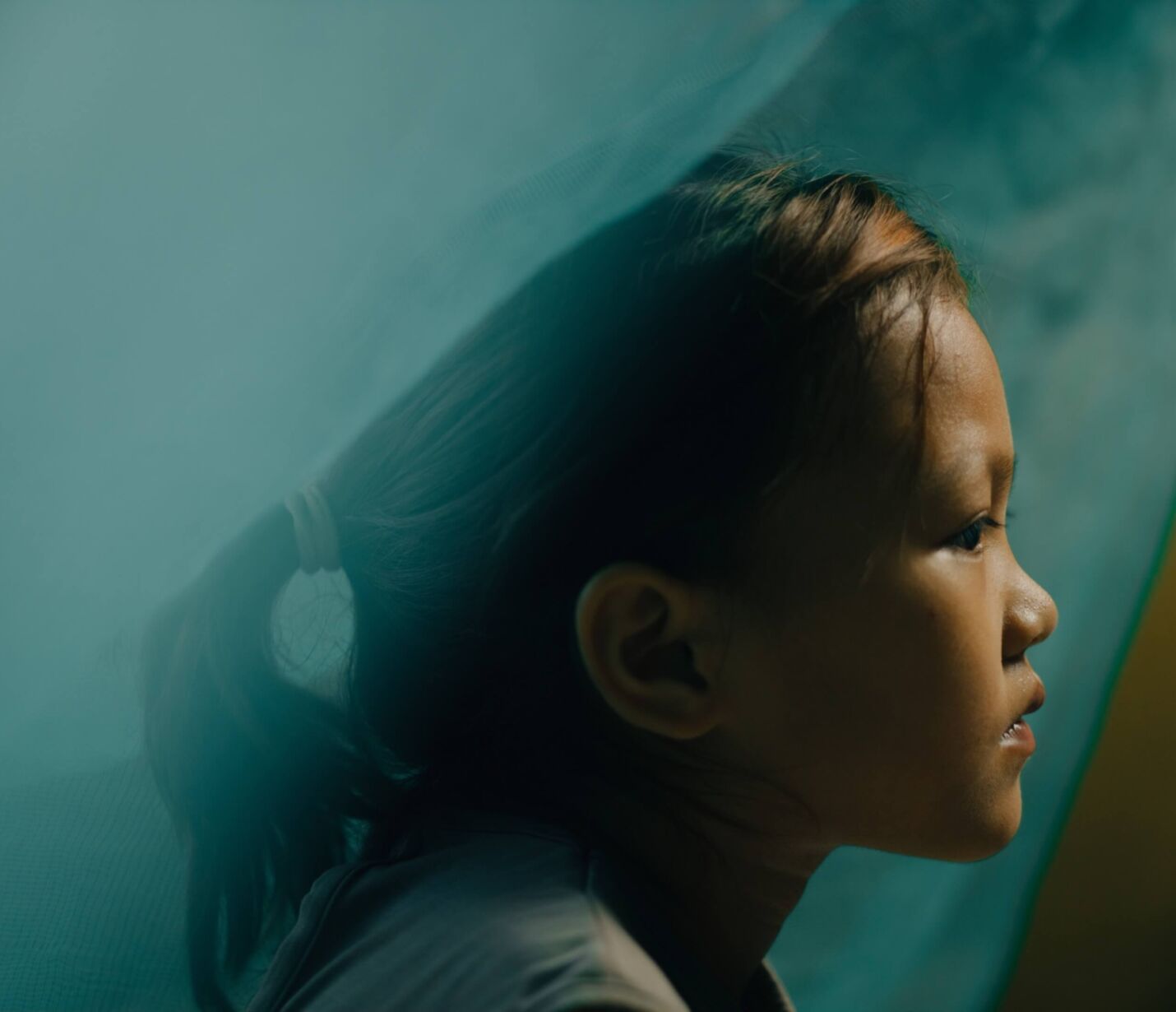 homepage